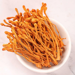 Cordyceps Militaris Flower Manufacturer - Natural Air-Dried Healthy Food Ingredient