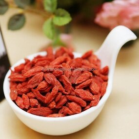 Ningxia Goji Berry Manufacturer - Dried Fruit Wholesale