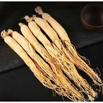 Ginseng Root Manufacturer - Red Panax Raw Material for Men