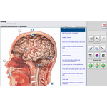 Quantum Analyzer Manufacturer - NLS Hunter 18D Home Wellness Body Scanner