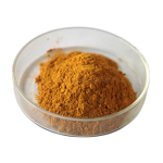 OEM Organic Moringa Leaf Powder Manufacturer - Moringa Powder Wholesale Private Label