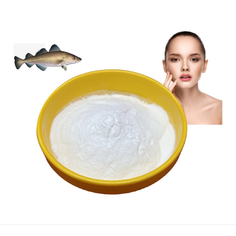 Factory Direct Pure Marine Collagen Powder Supplier - Small Molecular Marine Collagen Wholesale