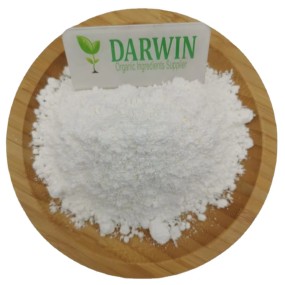 OEM L-Carnosine Capsules Factory - High Quality L-Carnosine Powder Carnosine Supplement Private Label