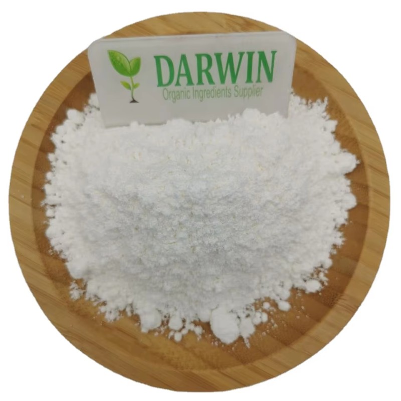 OEM L-Carnosine Capsules Factory - High Quality L-Carnosine Powder Carnosine Supplement Private Label