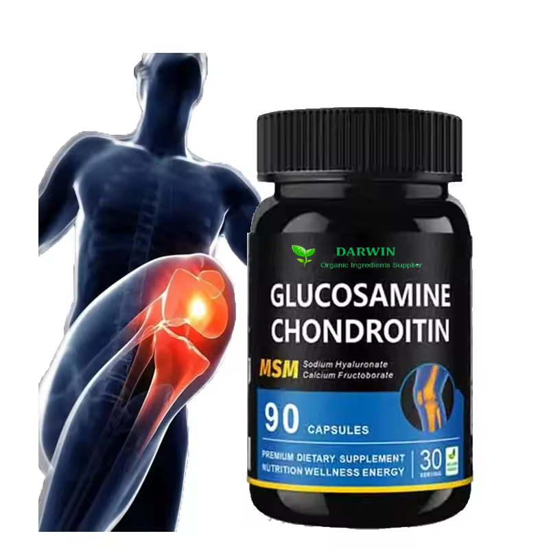 OEM Joint Bone Supplement Manufacturer - Glucosamine Tablets Sulphate MSM Chondroitin Capsules