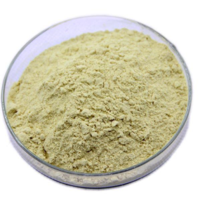 Darwin OEM Instant Mushroom Coffee Powder - Reishi Coffee Immune Booster Mushroom Blend Custom Formula