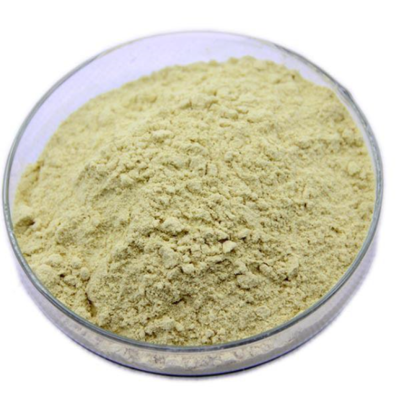 Darwin OEM Instant Mushroom Coffee Powder - Reishi Coffee Immune Booster Mushroom Blend Custom Formula