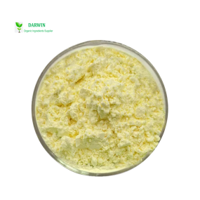 有机卡瓦根提取物源头工厂 - 水溶性卡瓦卡瓦内酯原料