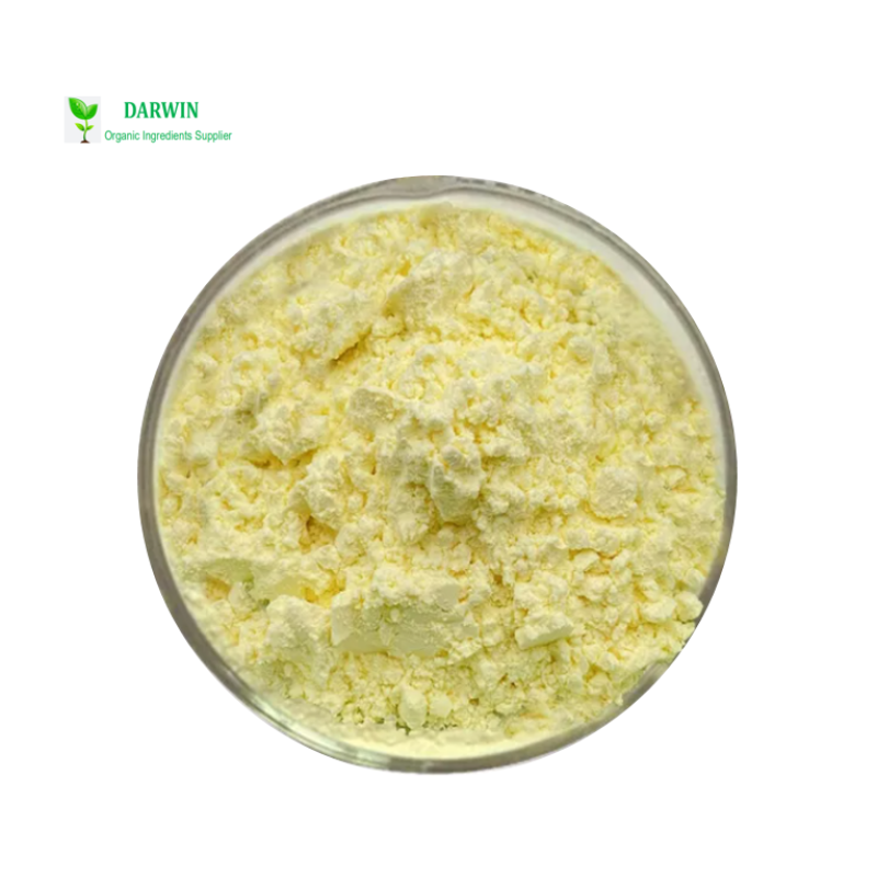 Source Factory Organic Kava Root Extract - Water Soluble Kava Kavalactones Raw Material