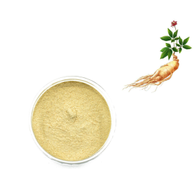 Wholesale Organic Matcha Powder Supplier - Ceremonial Grade Matcha Free Sample Available