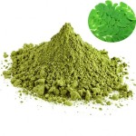 Factory Direct Lions Mane Extract Supplier - Organic Halal Certified Hericium Erinaceus