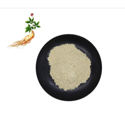 OEM Organic Mint Leaf Powder Factory - Mint Leaf Extract Wholesale Private Label