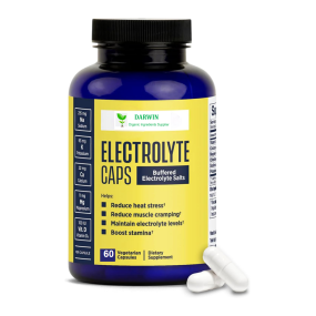 DARWIN OEM Energy Drink Powder Factory - Electrolyte Powder Pill Capsules Manufacturer