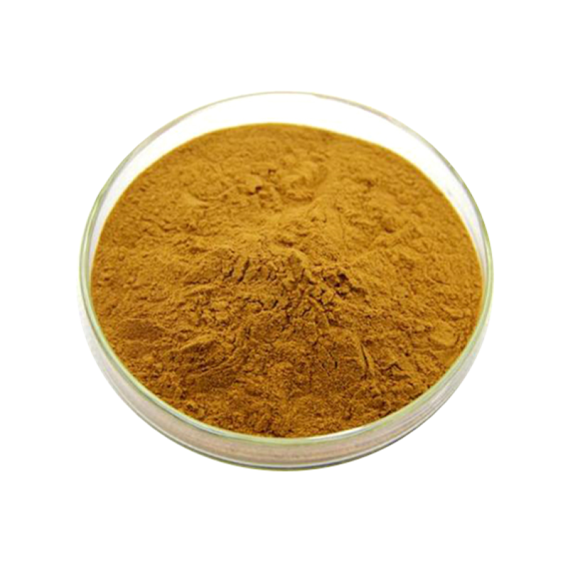 Wholesale Organic Dong Quai Root Extract Powder - Artemisia Lactone Angelica Root Powder