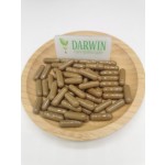 Source Factory Organic Kava Root Extract - Water Soluble Kava Kavalactones Raw Material