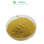 Darwin OEM Magnesium L-Threonate Capsules - 500mg Supplement Private Label Manufacturing