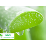 Wholesale Organic Aloe Vera Gel Factory - 100% Aloe Vera Gel Face Use Bulk Supply