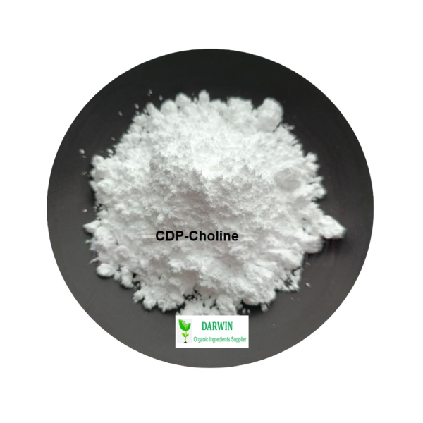 Wholesale Palmitoylethanolamide PEA Powder - 544-31-0 98% 99% Palmitoylethanolamide