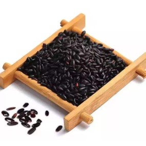 豌豆分离蛋白源头工厂 - 有机植物基蛋白批量制造