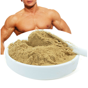 Wholesale Pure Ajuga Turkestanica Extract Powder - 2% 10% Turkesterone Competitive Pricing