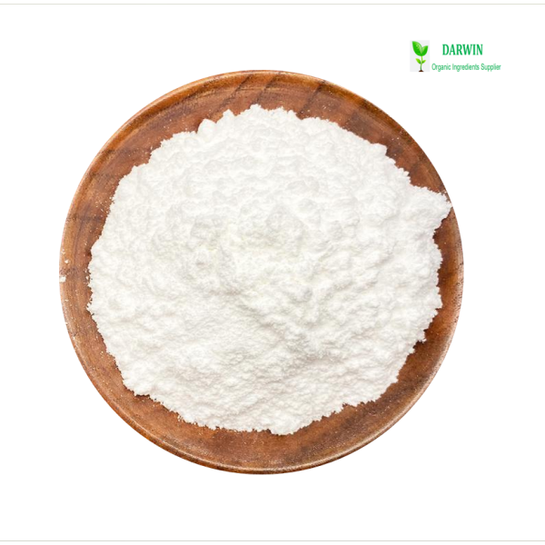 OEM Kids Melatonin Gummy Manufacturer - Drug-Free Sleep Supplement Children
