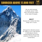 Source Factory Pure Natural Himalayan Shilajit Extract - Fulvic Acid Liquid Shilajit Resin