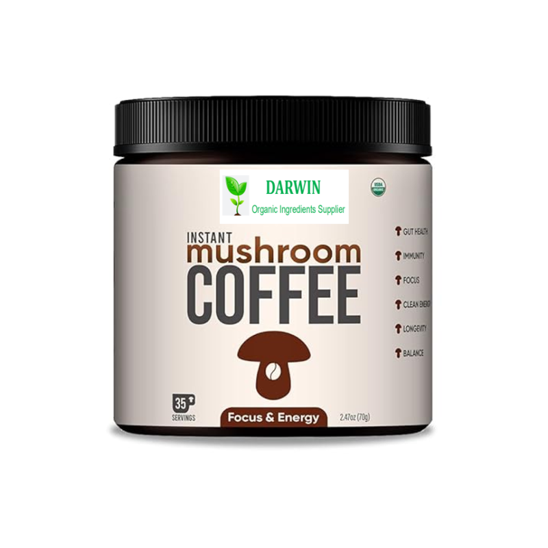 OEM Private Label Herbal Mushroom Coffee Manufacturer - Hericium Erinaceus Cordyceps Grifola Frondosa Chaga Reishi Blend