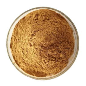 OEM Cordyceps Mushroom Supplement Manufacturer - Cordyceps Extract Mushroom Powder Private Label