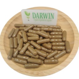 OEM Weight Loss Capsules Manufacturer - Energy Keto Booster Capsules Private Label