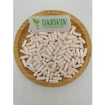 OEM L-Carnosine Capsules Factory - High Quality L-Carnosine Powder Carnosine Supplement Private Label