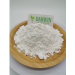 OEM L-Carnosine Capsules Factory - High Quality L-Carnosine Powder Carnosine Supplement Private Label