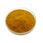 Wholesale Organic Dong Quai Root Extract Powder - Artemisia Lactone Angelica Root Powder