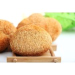 Darwin Organic Lion's Mane Mushroom Extract Wholesale - Hericium Erinaceus Powder Bulk