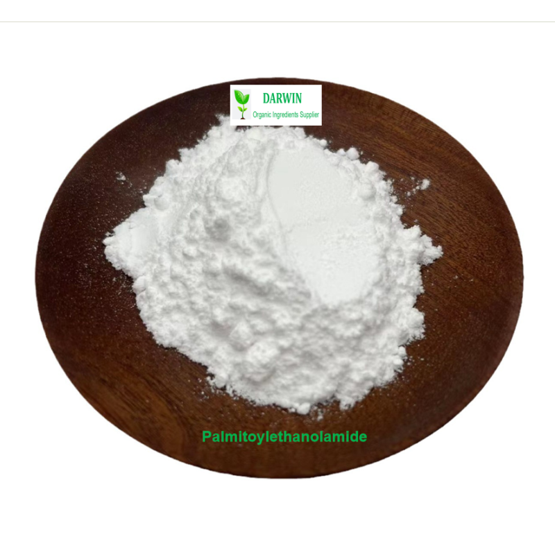 Source Factory Magnesium L-Threonate Powder - CAS 778571-57-6 99% Pure High Quality