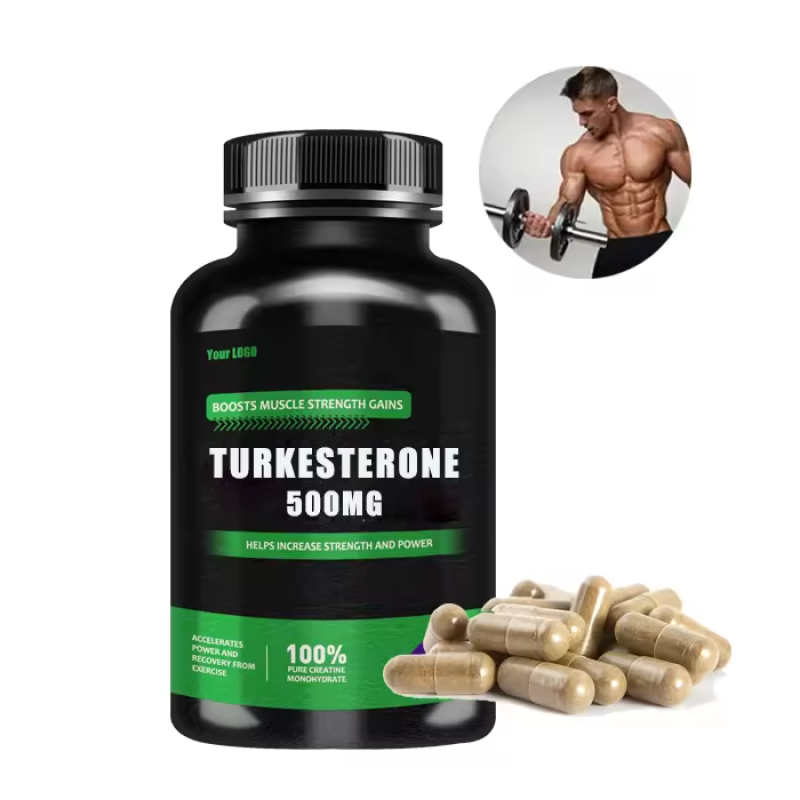 Private Label Ajuga Turkestanica Extract Supplement Factory - 10% 2% 500mg Turkesterone Capsules