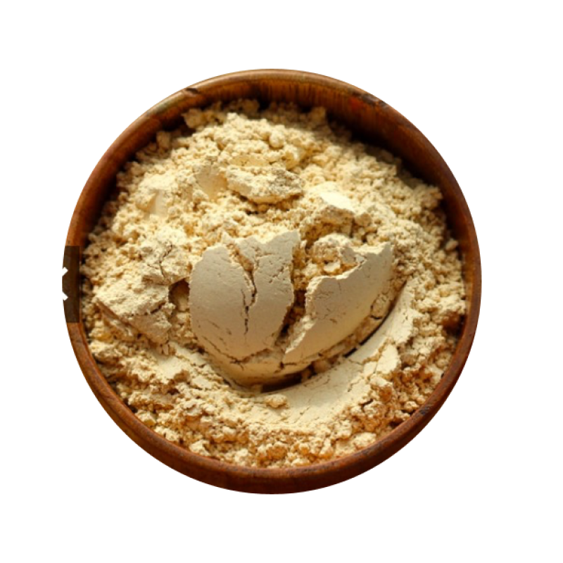 Wholesale Sea Buckthorn Fruit Powder Supplier - Organic Sea Buckthorne Extract Competitive Price