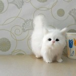 猫钥匙扣生产厂家-定制仿真猫毛绒钥匙扣填充小猫模型猫