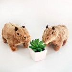 Capybara Plush Manufacturer - Simulation Capybara Plush Toy Cute Capybara Stuffed Animal Doll