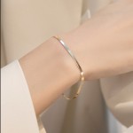 银蛇链工厂-S925纯银蛇骨链女士锁骨银项链