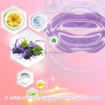 Organic Vegan Fruit Extract Crystal Lip Collagen Mask - Hydrating Hyaluronic Acid Sleep Mask