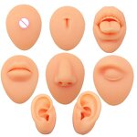 Silicone Piercing Model Manufacturer - Soft Simulation Ear & Nose Training Display