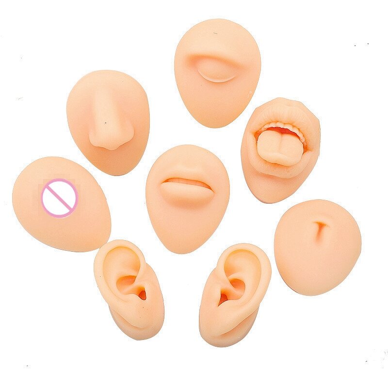 Silicone Model Manufacturer - Fake Body Parts for Piercing & PMU Training