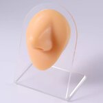Silicone Model Manufacturer - Fake Body Parts for Piercing & PMU Training