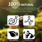Snail Repair Cream Manufacturer - All-in-One Intensive Care with Premium Snail Mucin Extract