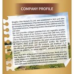 Turmeric Extract Powder Manufacturer - Organic, High Purity, Bulk Drum Packaging