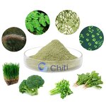 Chiti Grass Greens Powder Manufacturer - Food Grade Superfood Blend with Wheatgrass, Barley Grass, Moringa, Chlorella & Celery