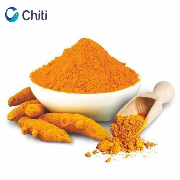 Turmeric Extract Powder Manufacturer - Organic, High Purity, Bulk Drum Packaging