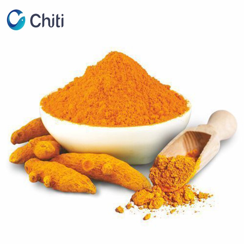 Turmeric Extract Powder Manufacturer - Organic, High Purity, Bulk Drum Packaging