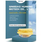 Freeze Dried Mango Manufacturer - FD Sweet Slices & Blocks for Export