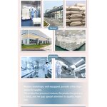 Freeze Dried Mango Manufacturer - FD Sweet Slices & Blocks for Export